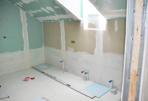 Best Mold Remediation for Vacation Homes  in Laramie, WY